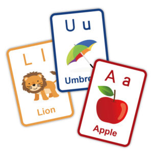 Flash Card